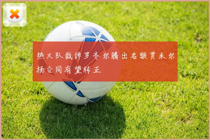 热火队裁掉罗齐尔腾出名额贾米尔杨合同有望转正